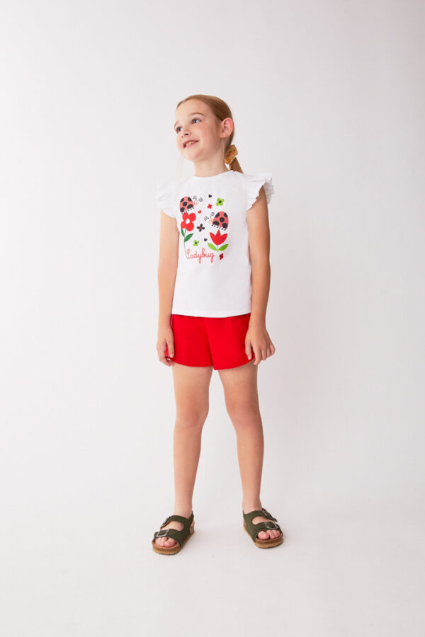 Conjunto Ladybug Street Monkey - Imagen 3