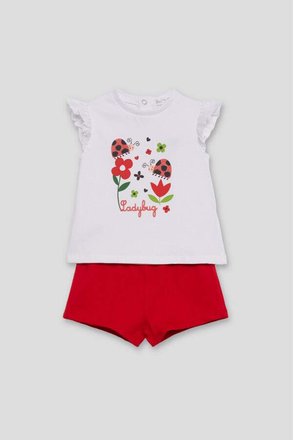 Conjunto Ladybug Street Monkey