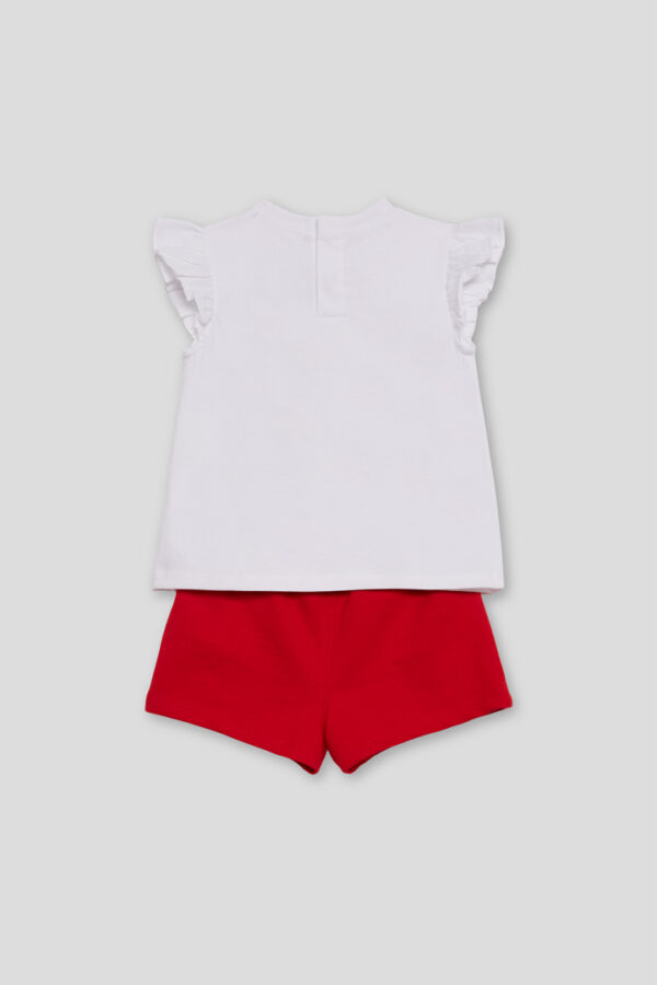 Conjunto Ladybug Street Monkey - Imagen 5