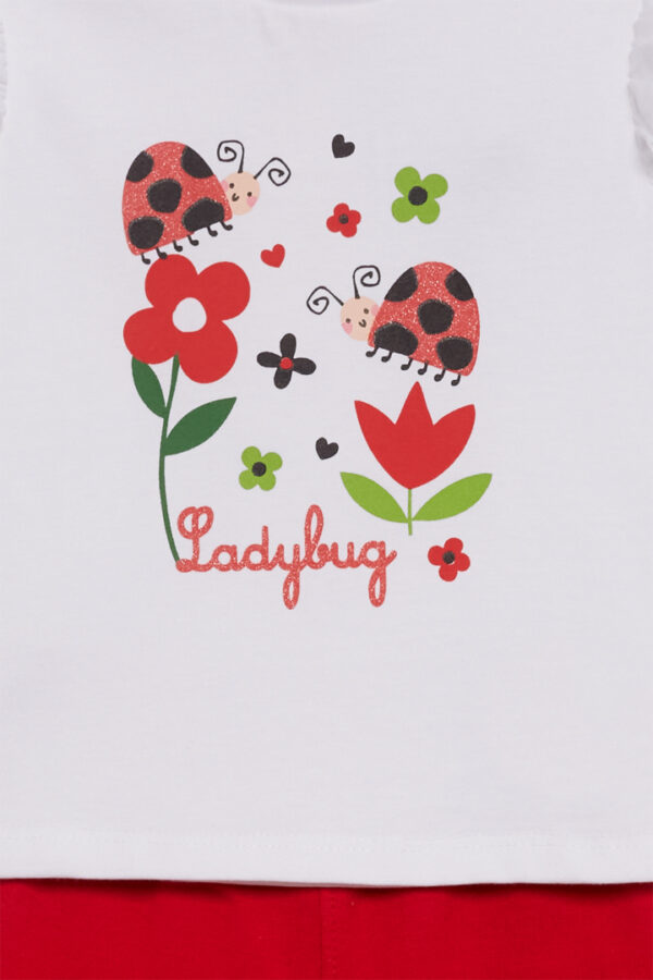 Conjunto Ladybug Street Monkey - Imagen 2