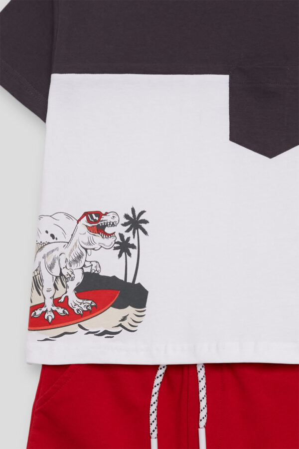 Conjunto Surf Dinosaurio Street Monkey - Imagen 4
