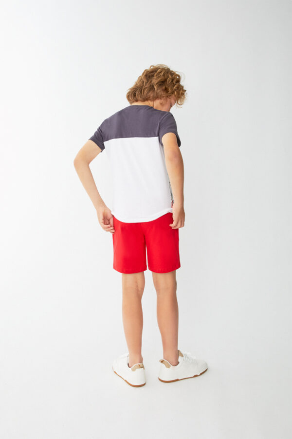 Conjunto Surf Dinosaurio Street Monkey - Imagen 5