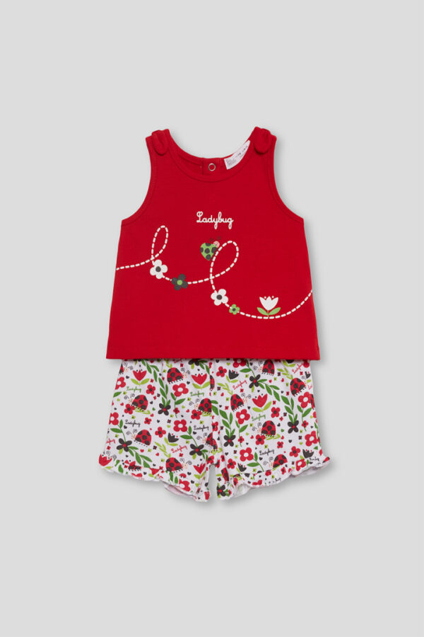 Conjunto Ladybug Street Monkey - Imagen 2