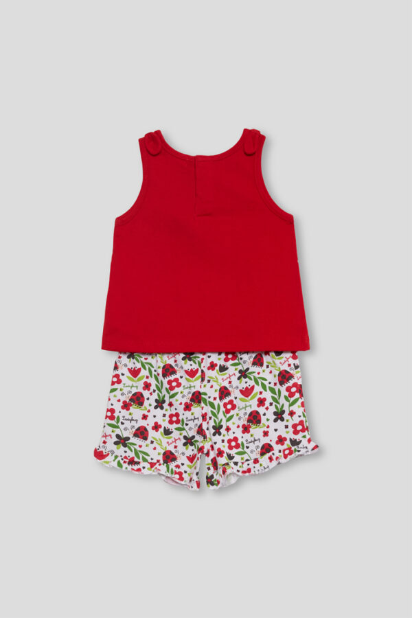 Conjunto Ladybug Street Monkey - Imagen 3