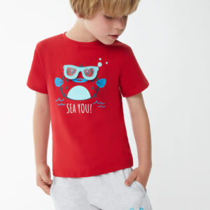 Conjunto Sea you Street Monkey