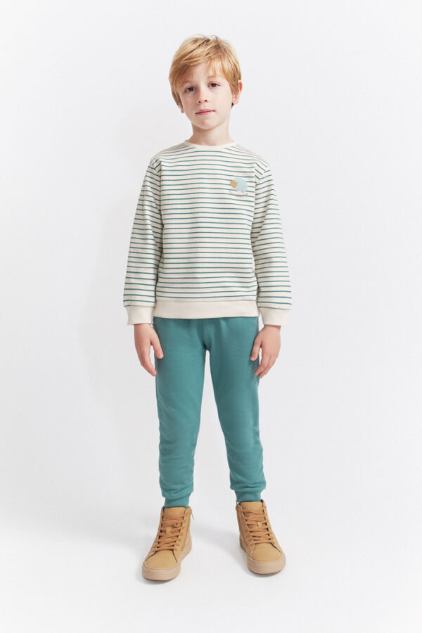 Conjunto Little hedgehog Street Monkey