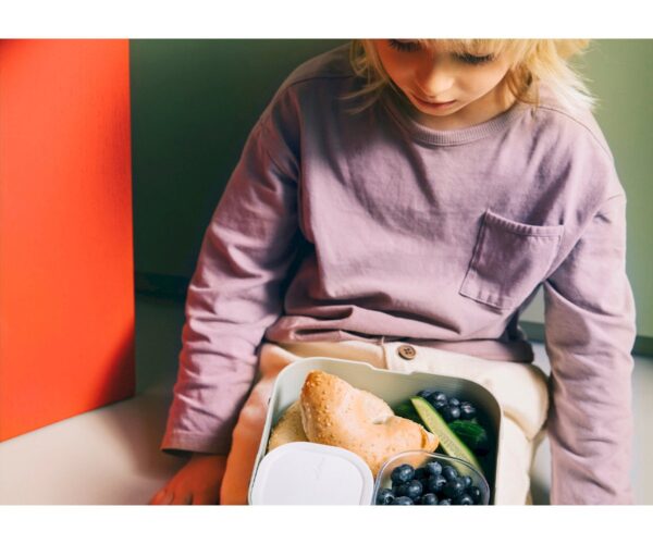 Caja de Almuerzo Bento Campus Grande Fairy Wonders Mepal Little dutch - Imagen 4