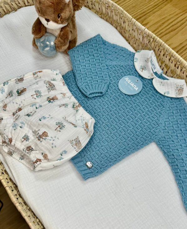 Conjunto Jersey Azul nube Pantalón Animalitos Juliana Vistiendo bebes - Imagen 2