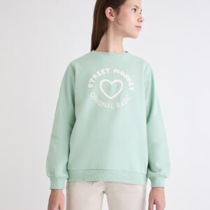 Sudadera basic Verde agua Street Monkey