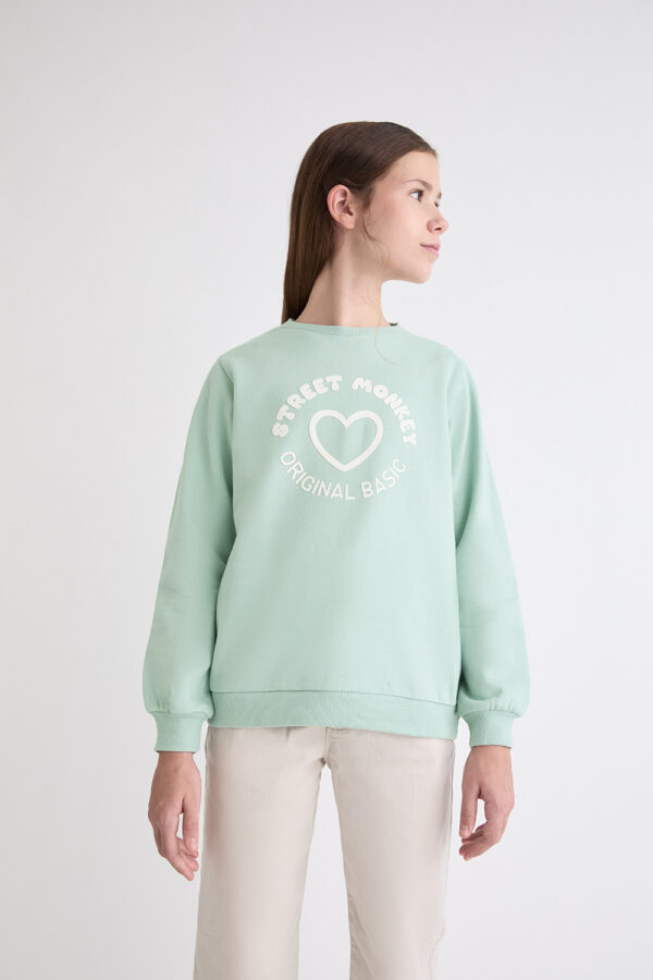 Sudadera basic Verde agua Street Monkey