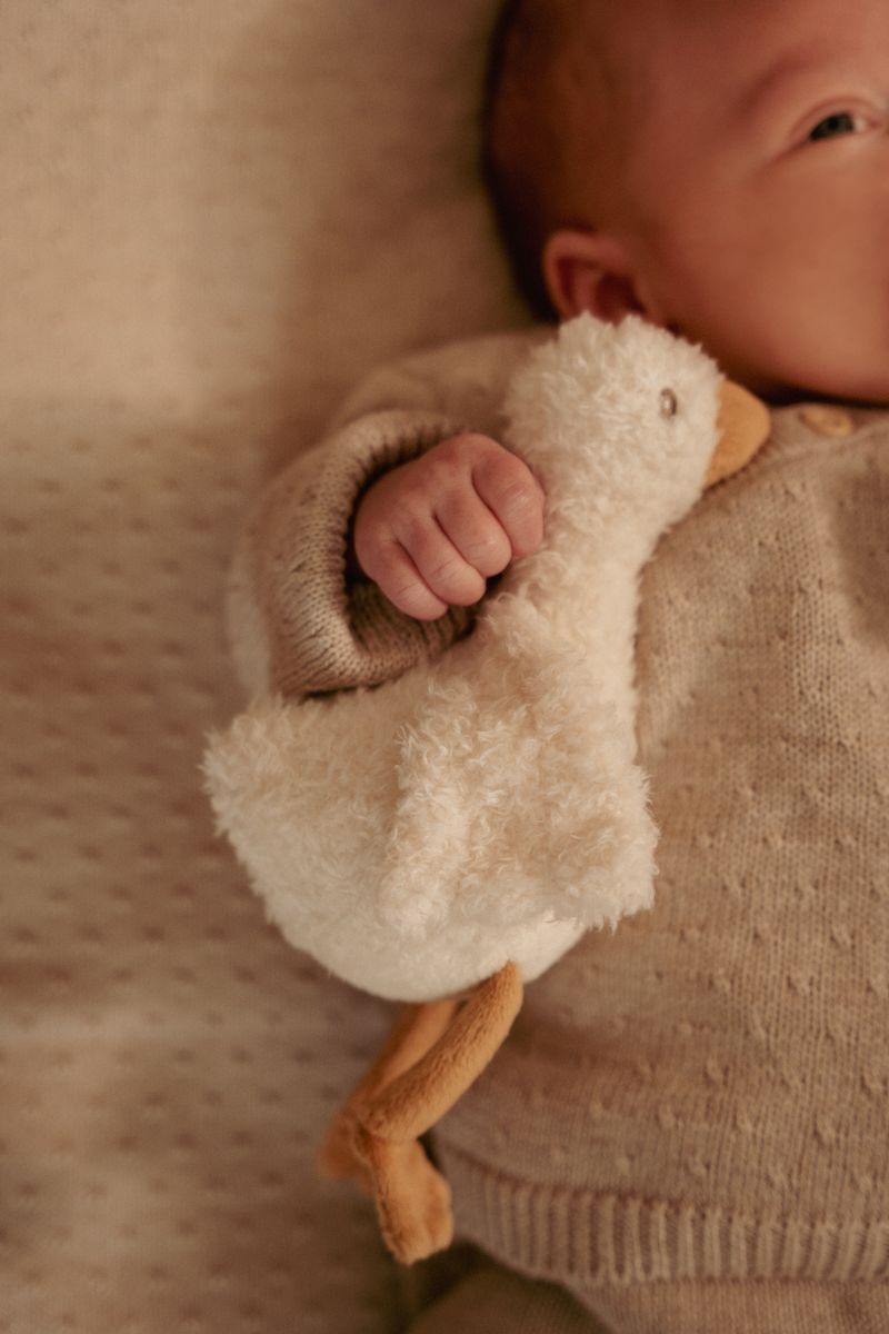 CAJA REGALO NEWBORN NATURALS LITTLE DUTC - Imagen 2