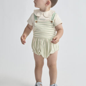 Ranita rayas verde empolvado Street monkey