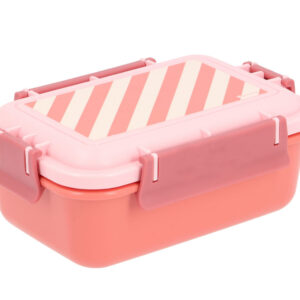 Caja Almuerzo Bento Stripes Bloom & Blush Monnëka